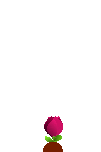 Rosa no início do namoro