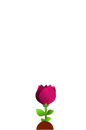 Rosa com alguns meses