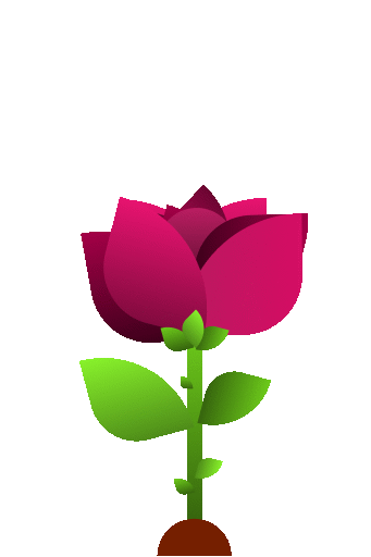 Rosa Digital
